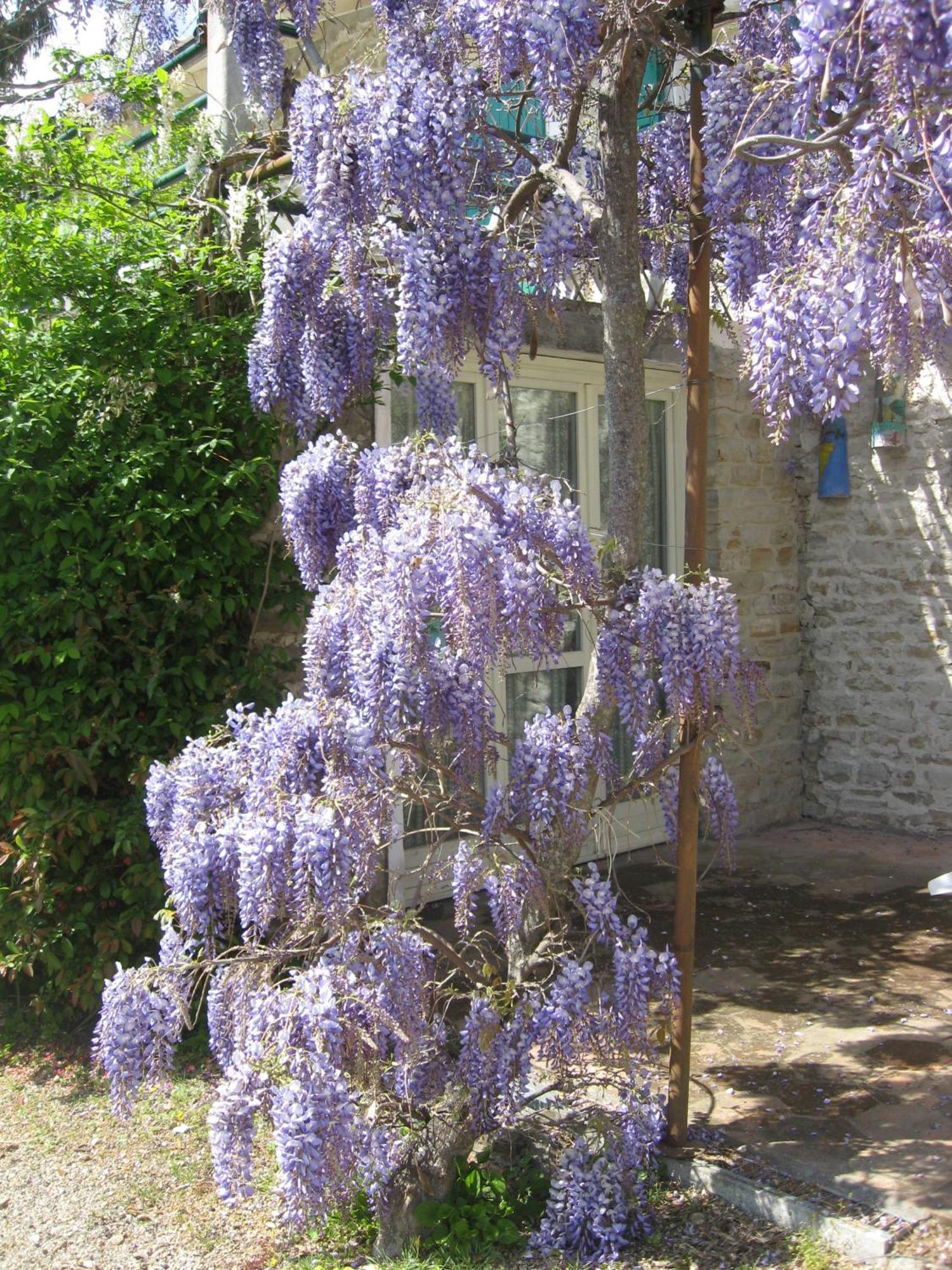 Agriturismo Cascina Serra Cossano Belbo Ngoại thất bức ảnh