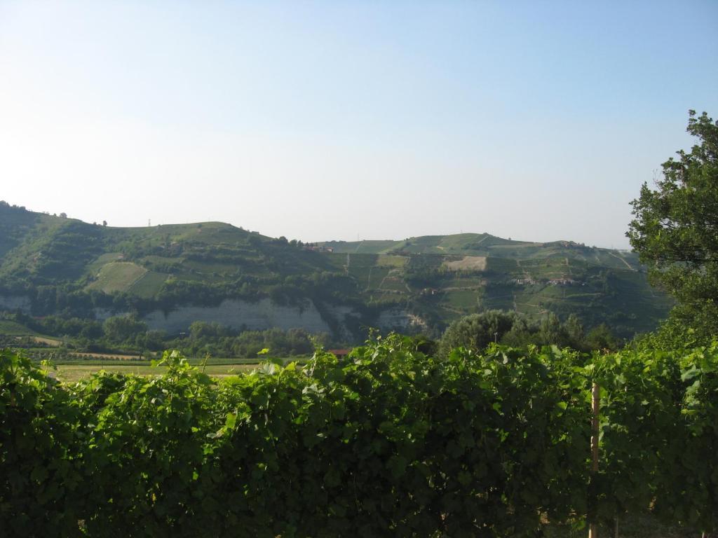 Agriturismo Cascina Serra Cossano Belbo Phòng bức ảnh