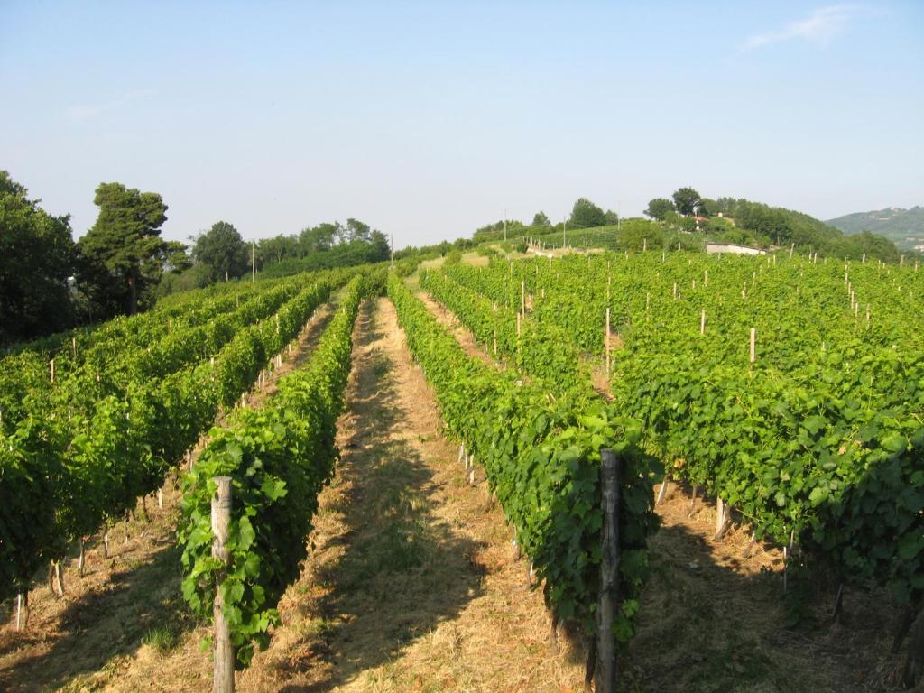 Agriturismo Cascina Serra Cossano Belbo Phòng bức ảnh