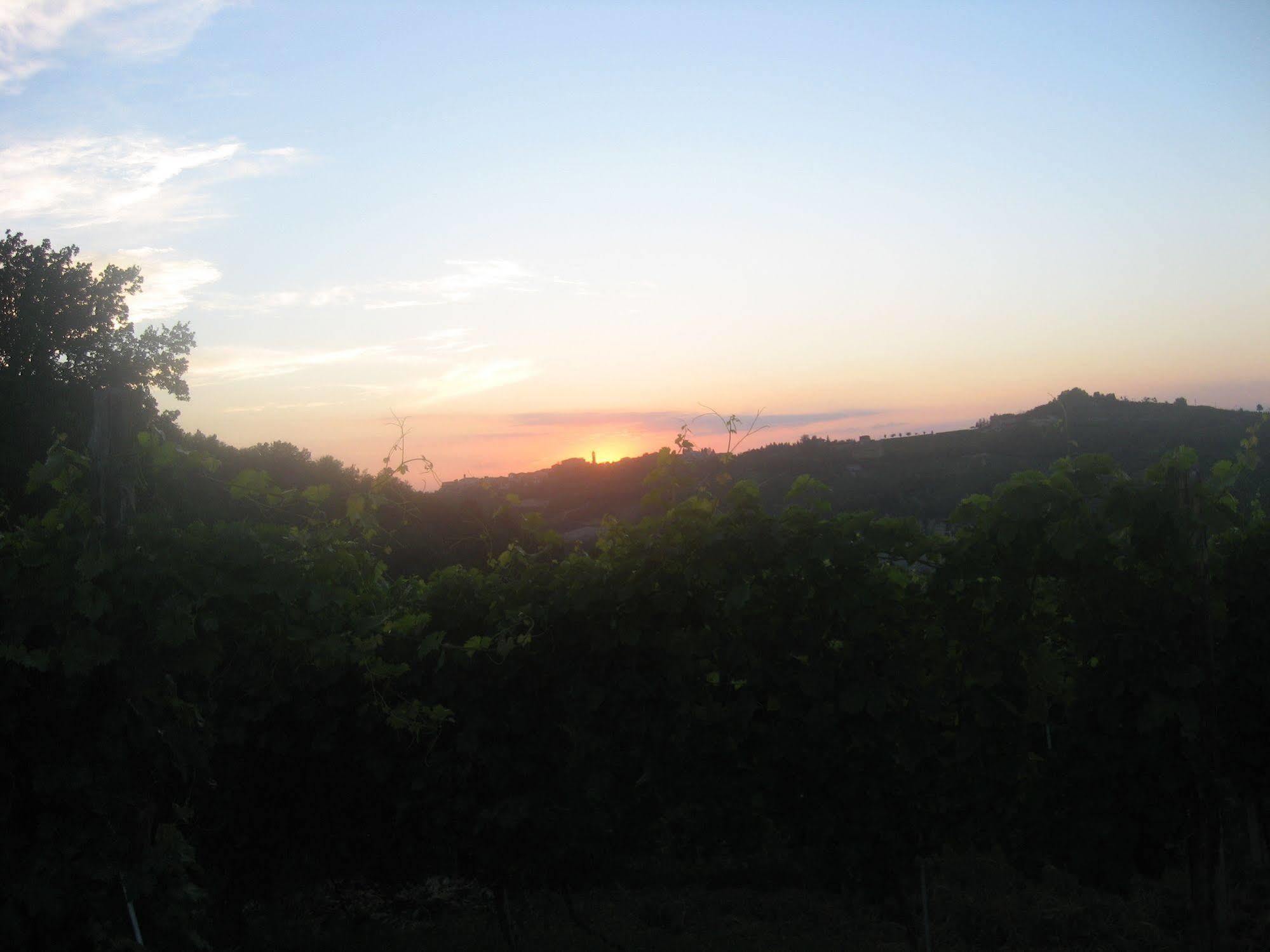 Agriturismo Cascina Serra Cossano Belbo Ngoại thất bức ảnh
